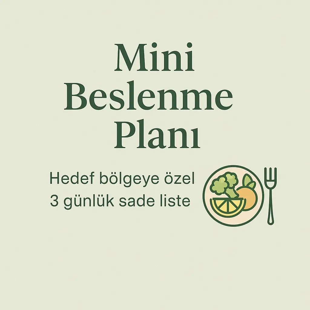Mini Nutrition Plan