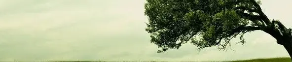 Çağrı Kılıç